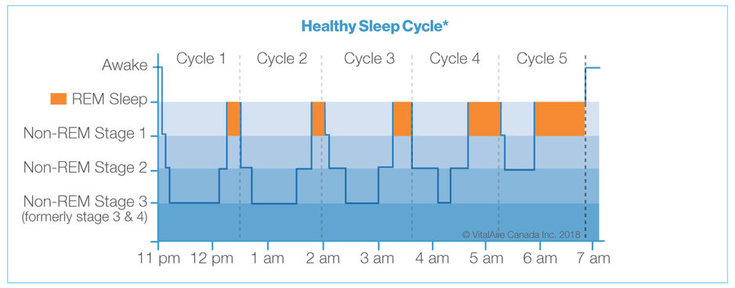 Healthy Sleep Cycle REM Sleep